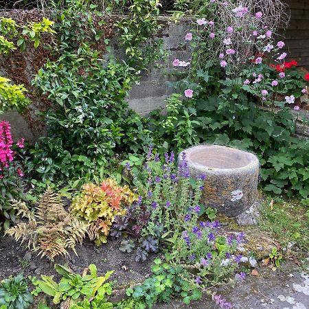 Herb Cottage Bradford-On-Avon Buitenkant foto