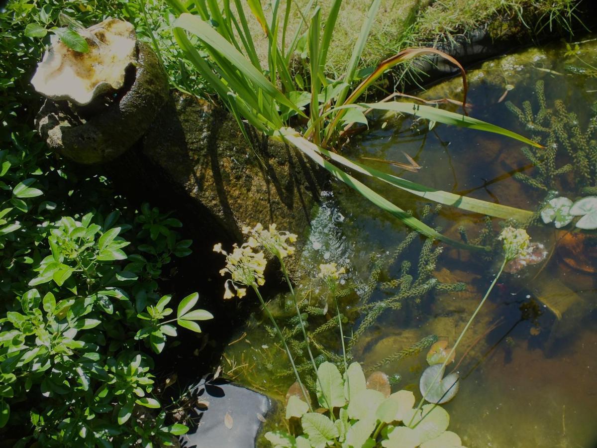 Herb Cottage Bradford-On-Avon Buitenkant foto